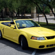 Image for article titled At $19,900, Would You Let This 2003 Ford Mustang Cobra Sink Its Fangs Into Your Wallet?